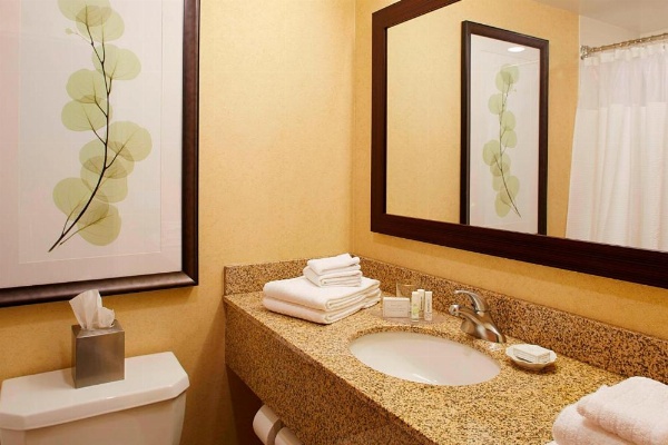 Courtyard by Marriott Ithaca Airport/University image 9